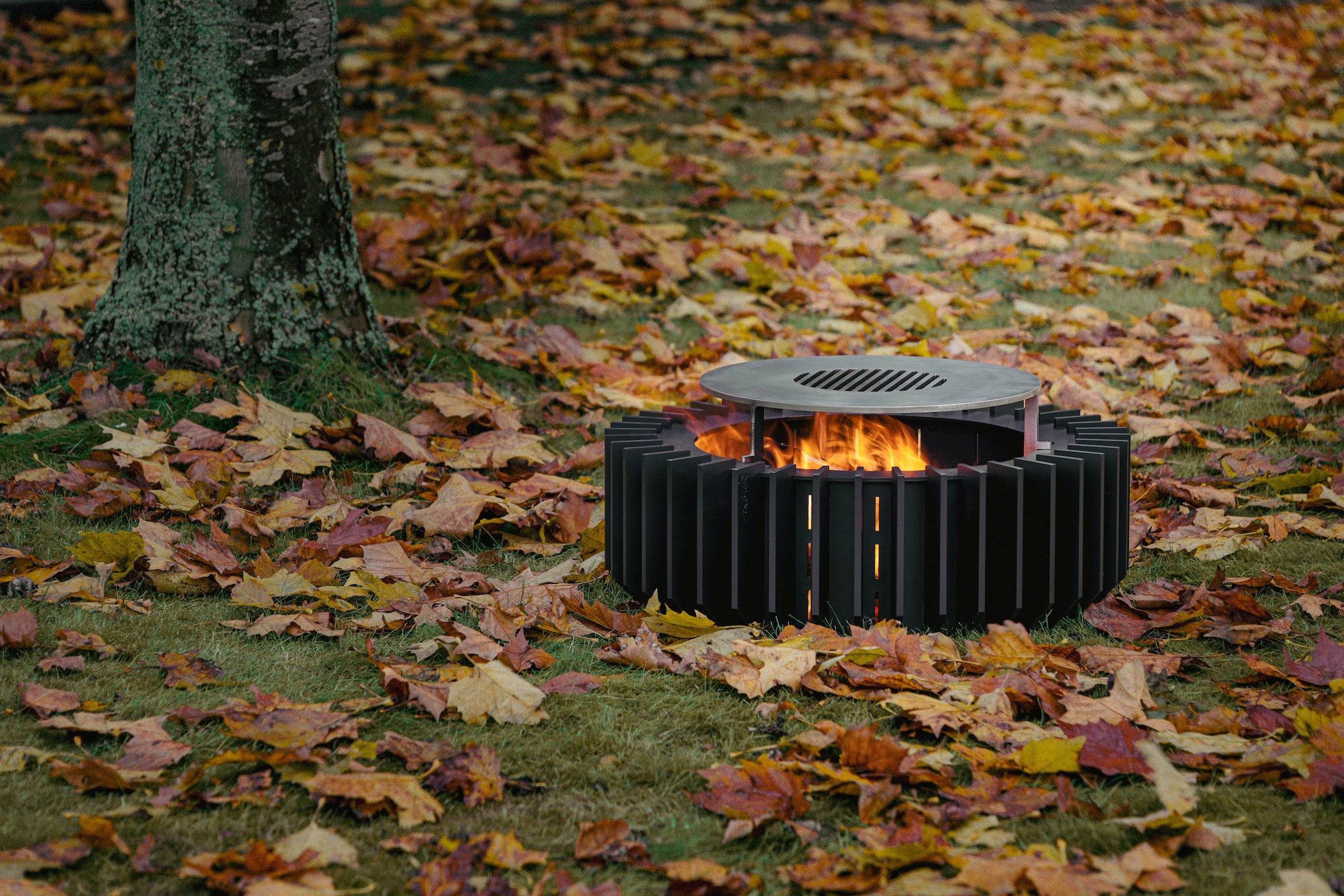 ANEMONE®LOUNGE WOOD